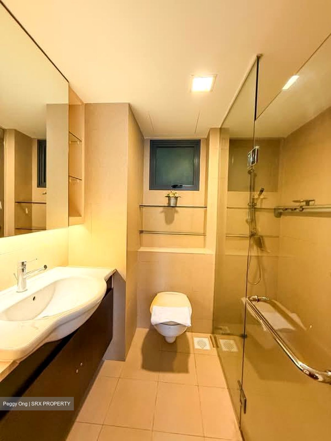 Blk 1 The Pinnacle@Duxton (Bukit Merah), HDB 4 Rooms #560828231